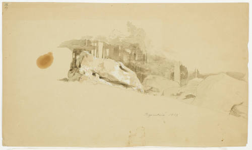 Boulders and Tree Trunks - Regenstein