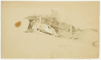 Boulders and Tree Trunks - Regenstein