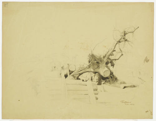 Uprooted Tree Stump - Torfhaus