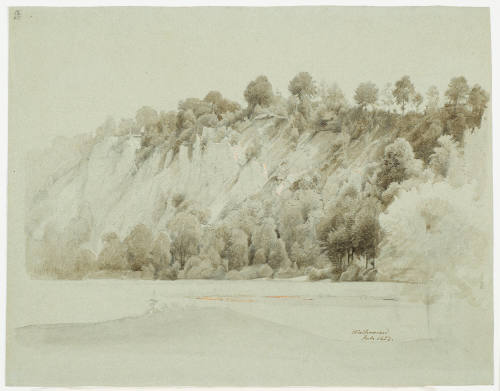 Rocky Slope with Trees and Bushes - Walkenried