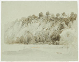 Rocky Slope with Trees and Bushes - Walkenried