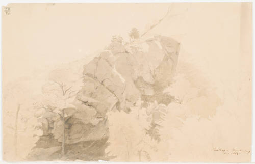 Rocky Mountain Slope - Sautrog Near Blankenburg