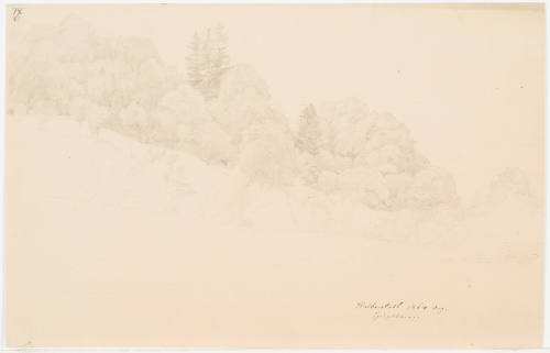 Wood Slope - Halberstadt