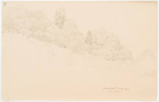 Wood Slope - Halberstadt