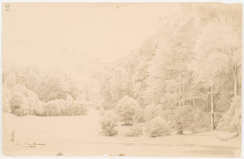 Wooded Valley - Near Blankenburg