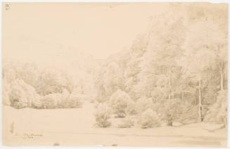 Wooded Valley - Near Blankenburg