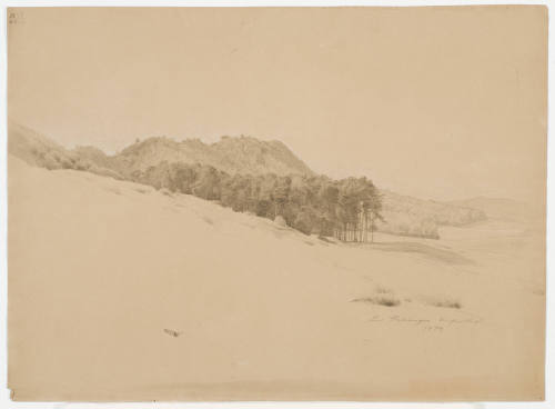 Hilly Forest Landscape - Near Helsungen