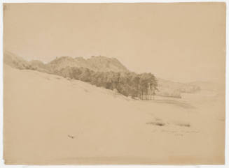 Hilly Forest Landscape - Near Helsungen