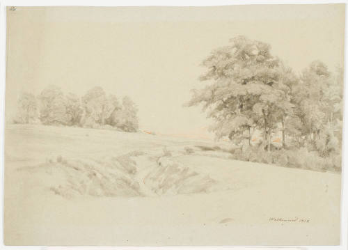 Plain and Forest