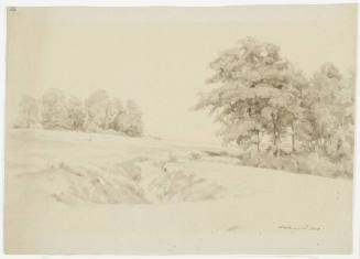 Plain and Forest