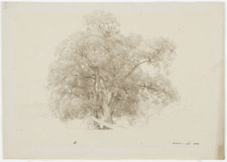 Two Trees and Houses