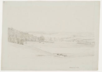 Wide Hilly Landscape