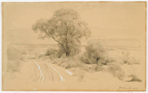 Field Path and Trees