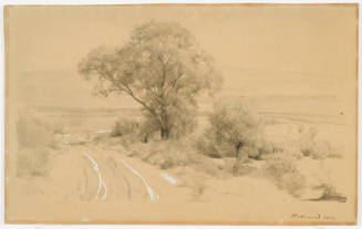 Field Path and Trees
