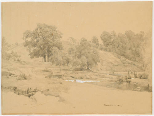 Park Landscape
