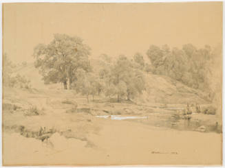 Park Landscape