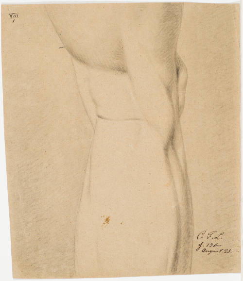 Study of a Knee