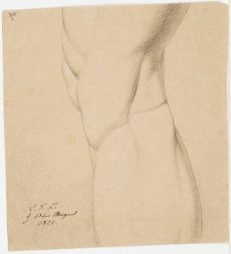 Study of a Knee