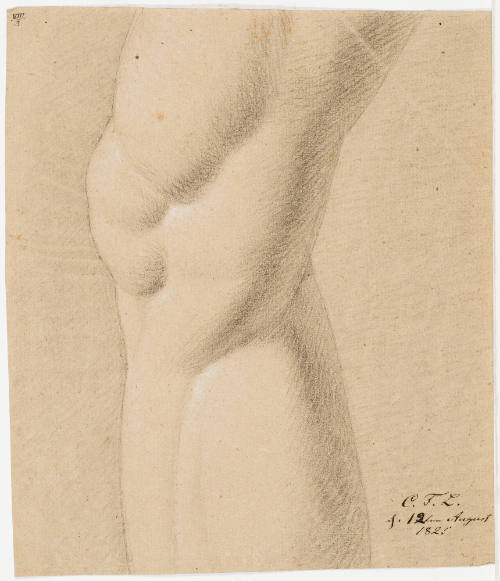 Study of a Knee