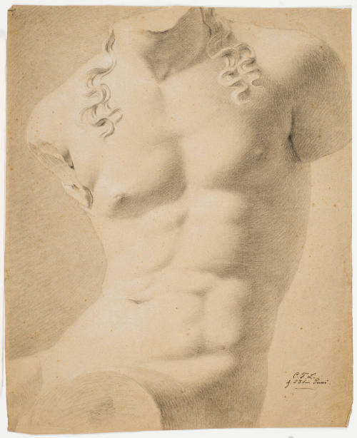 Study after Classic Male Torso
