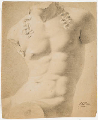 Study after Classic Male Torso