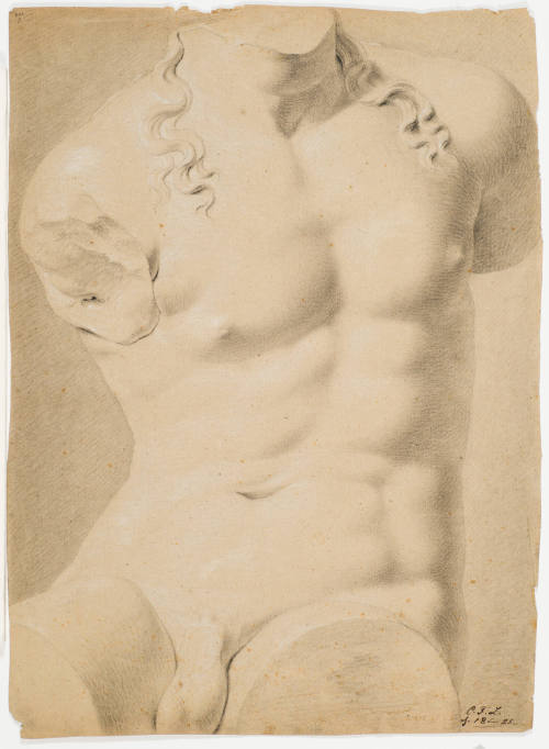 Study after Classic Male Torso