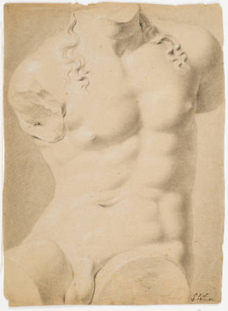 Study after Classic Male Torso