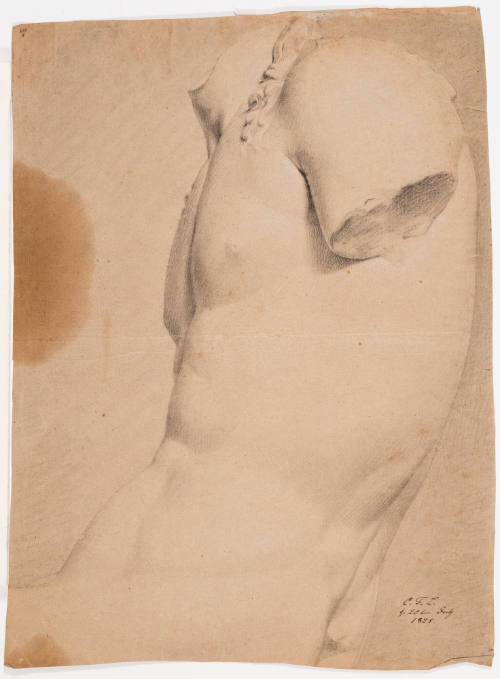 Study after Classic Male Torso