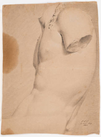 Study after Classic Male Torso