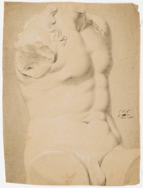 Study after Classic Male Torso