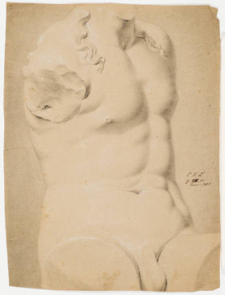 Study after Classic Male Torso