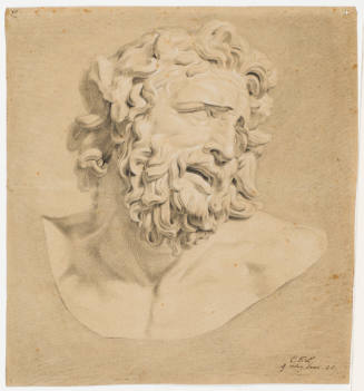 Study of a Head