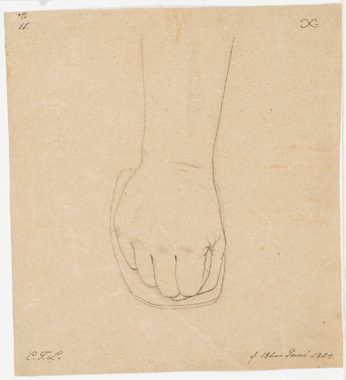 Study of a Hand