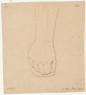 Study of a Hand