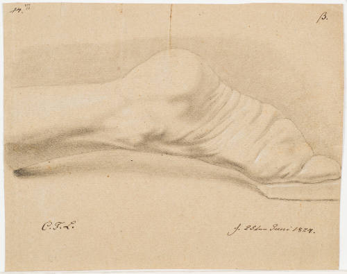 Study of a Foot