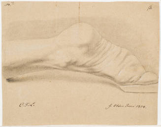 Study of a Foot