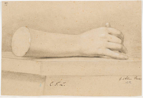 Study of a Hand