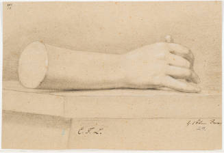 Study of a Hand