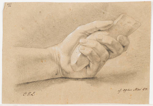 Hand Study
