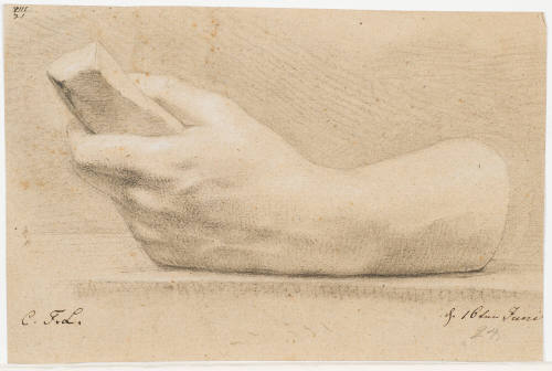 Study of a Hand