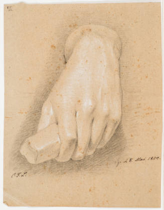 Study of a Hand