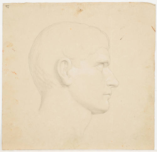 Male Portrait
