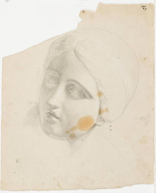 Female Portrait