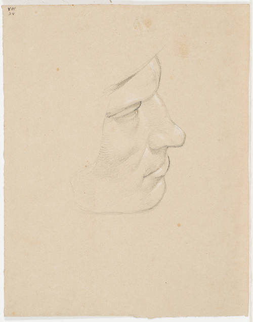 Male Portrait