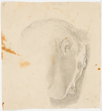 Youthful Male Head