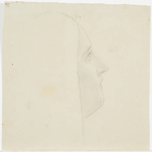 Femal Portrait