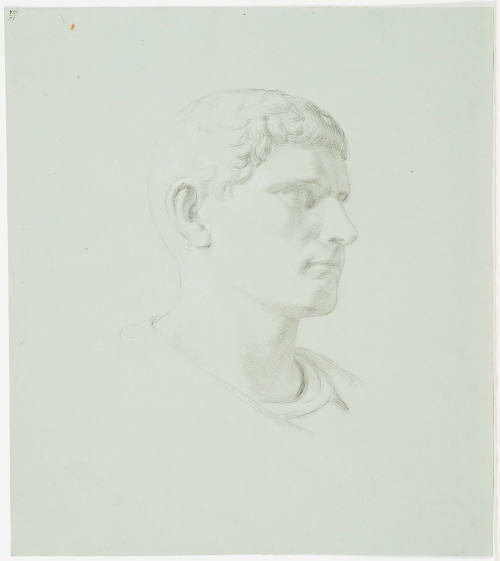 Portrait of a Young Man