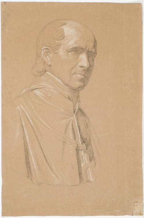 Male Bust