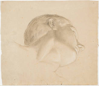 Male Portrait