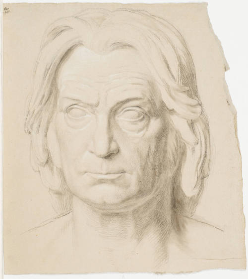 Male Portrait